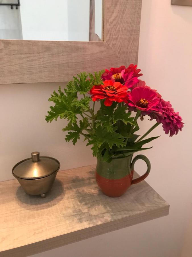 スキアトスタウンEva'S Houseアパートメント エクステリア 写真